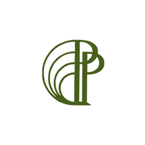 Логотип Рязанский Радиозавод