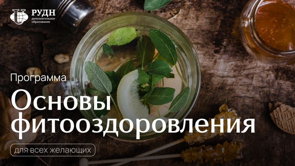 Основы фитооздоровления.jpg Основы фитооздоровления.jpg