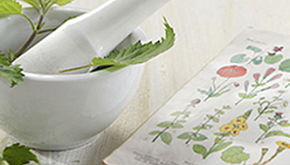 Итоги съезда "Современные проблемы фитотерапии и травничества"