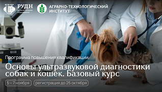 Регистрация на программу «Основы ультразвуковой диагностики собак и кошек. Базовый курс»