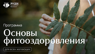Фитооздоровление по методу Гордеева: система, а не просто травы 