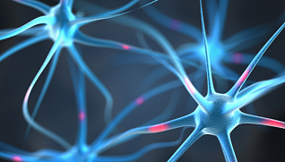 Международная онлайн конференция Stroke management update course (SMUC) 2021: «Современные подходы в лечении острых и хронических нарушений мозгового кровообращения»