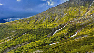 Летняя школа "Мониторинг, моделирование и управление городскими почвами и зеленой инфраструктурой"