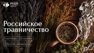 Российское травничество: система знаний, которая передавалась веками